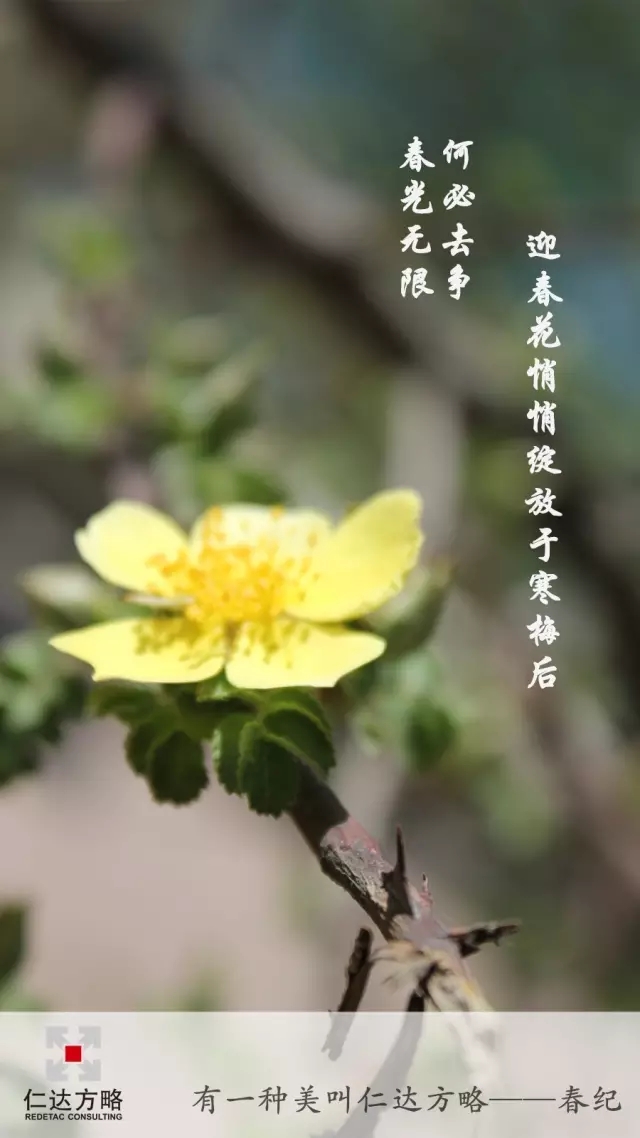 仁達(dá)方略