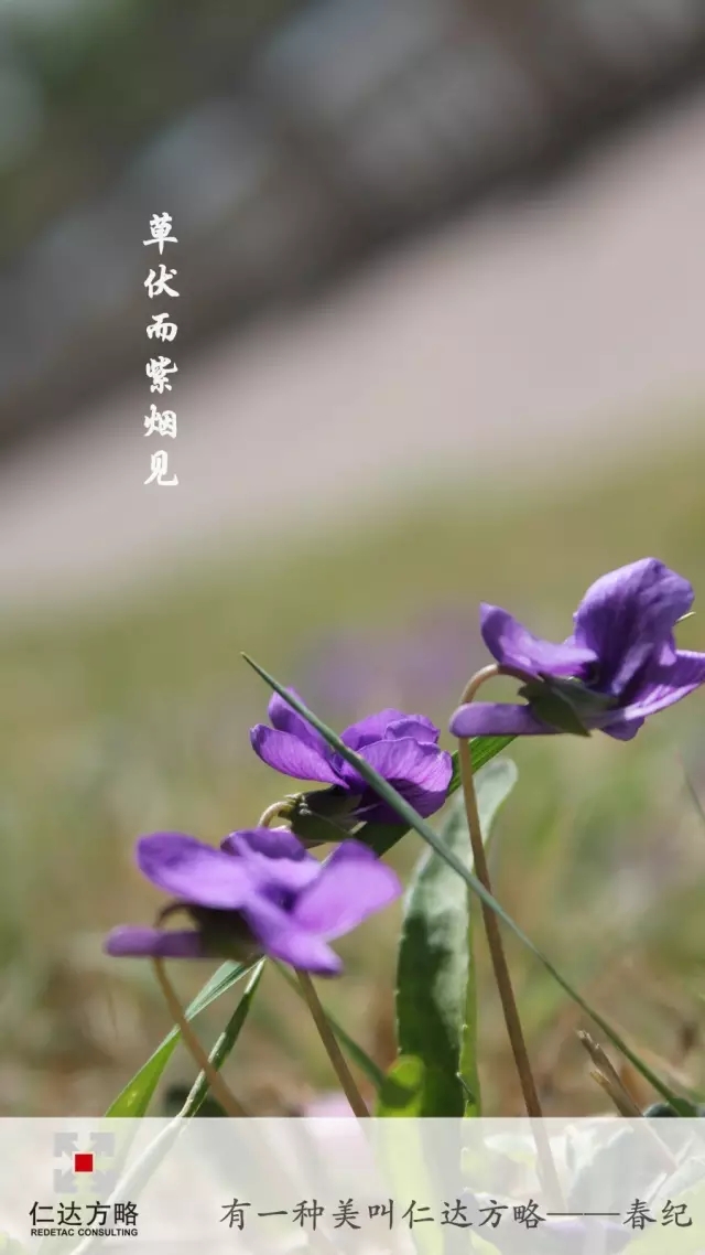 仁達(dá)方略