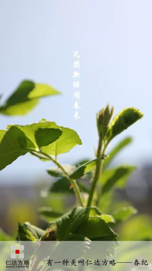仁達(dá)方略