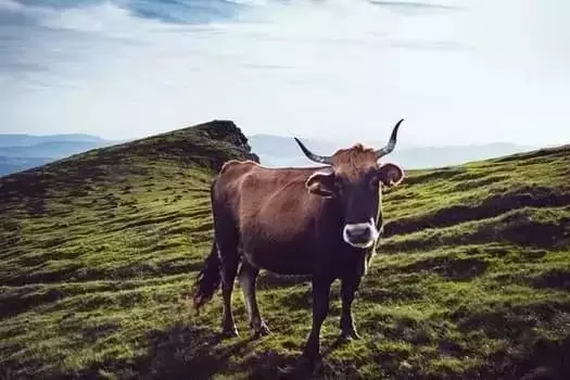 仁達(dá)方略管理咨詢