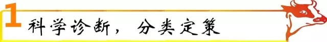 如何推進(jìn)企業(yè)轉(zhuǎn)型發(fā)展新策略？